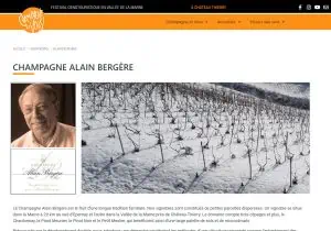 Champagne et Vous : Vignerons en détail